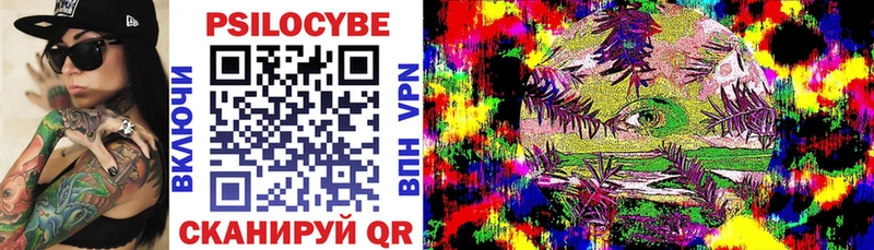 Псилоцибиновые грибы Cubensis где можно купить наркотик Кукмор